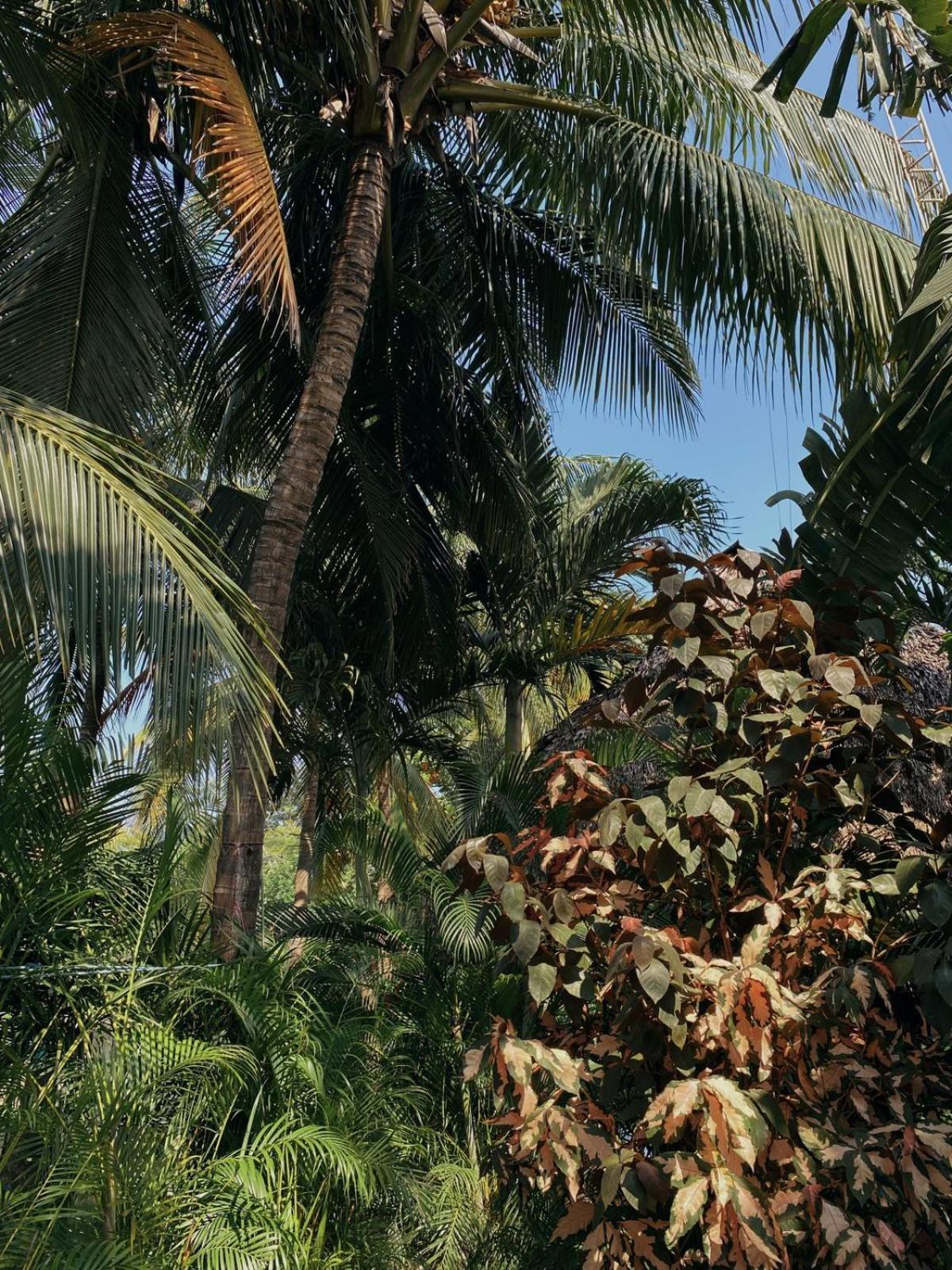 The Captains Iin Chinandega Exterior foto